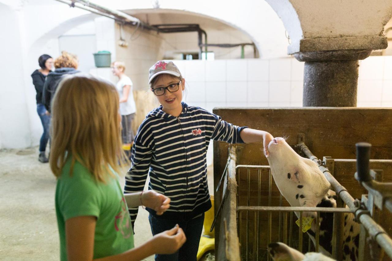 Erlebnisbauernhof Steinerhof In Kaernten Liebenfels Eksteriør bilde